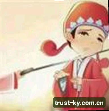 孙少